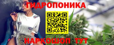 гидра Краснокаменск