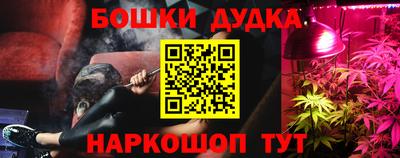 гидра Краснокаменск