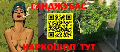 гидра Краснокаменск