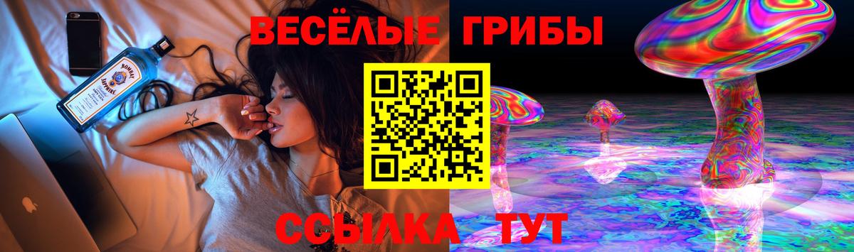 Кандалакша  купить наркоту  Вход с VPN  Галлюциногенные грибы Magic Shrooms  Галлюциногенные грибы Magic Shrooms 